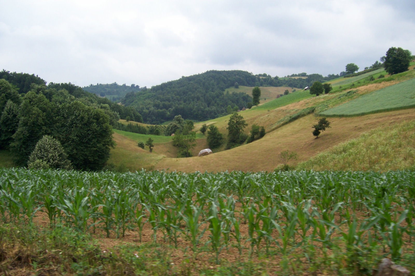 The landscape around the entrance, photo by M. Tomasek 